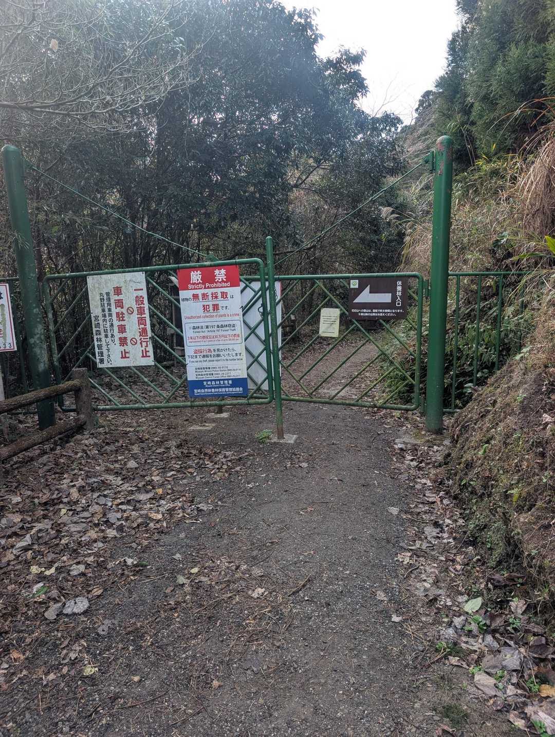 ここから入ります