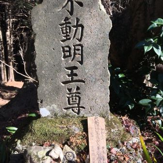 不動明王のルーツは象との関連が強いらしい。