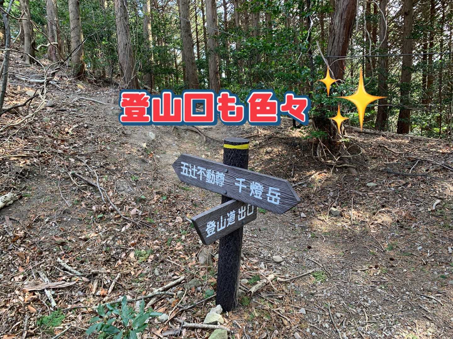 途中の分岐点
色んな登山口があるみたいですが、その登山口がよく分からず💦