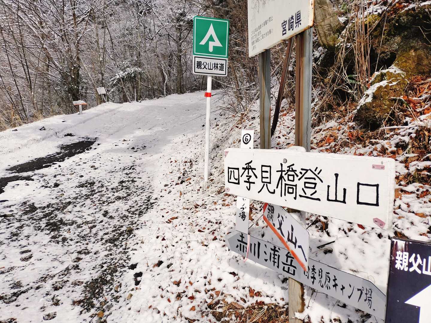 しばらく林道を歩きます🚶‍♀️