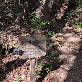 神滝？ここも行ってみよう。