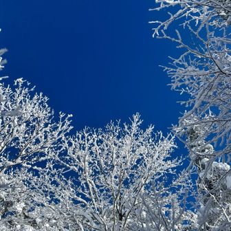 青空になってきた〜✨