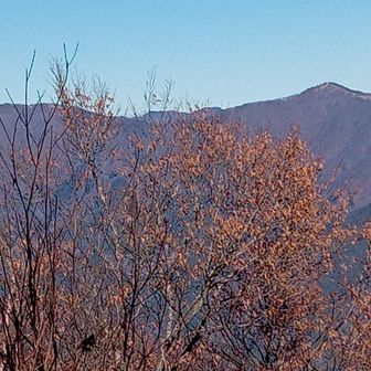 雲取山〜鷹ノ巣山方面の稜線。