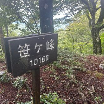 笹ヶ峰山頂