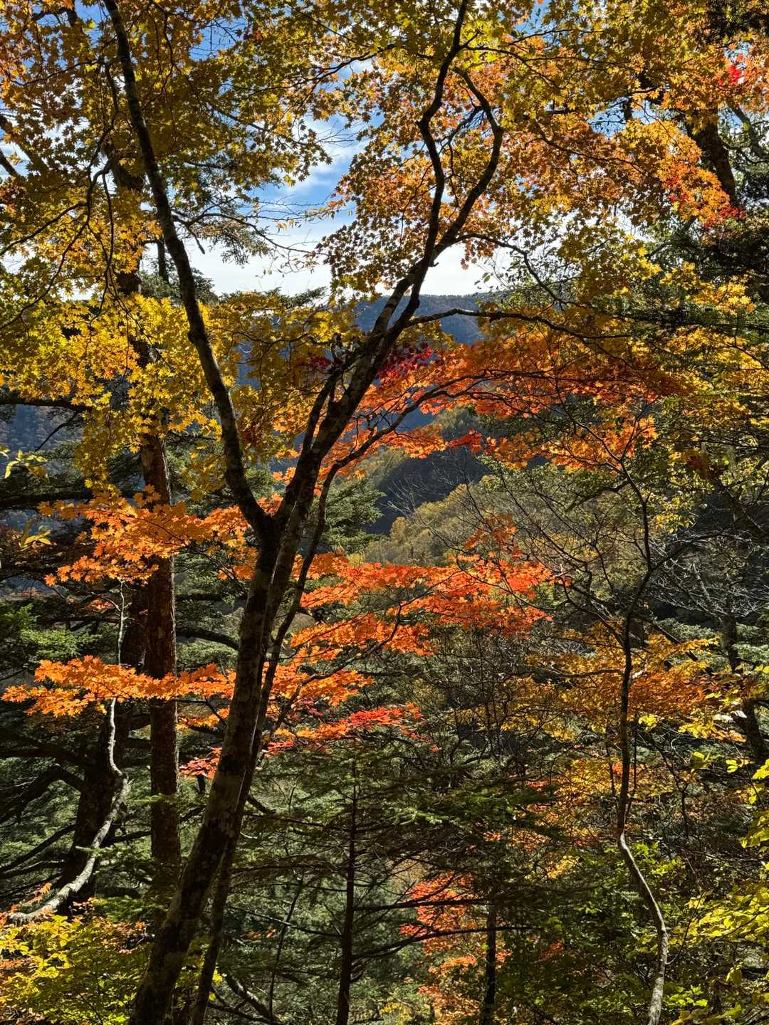 青木鉱泉バス停-地蔵岳 往復コースの写真