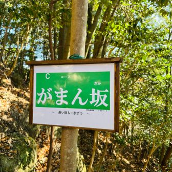 地蔵岳まで激登りスタート