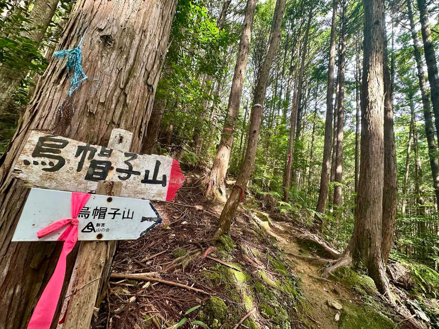 ココから少し急登になります😁
オマケのアブ🪰もついてきます😮‍💨