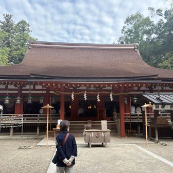 石上神宮
ようやく南コースが終わり、北コースへ
足の裏に若干違和感が🤣