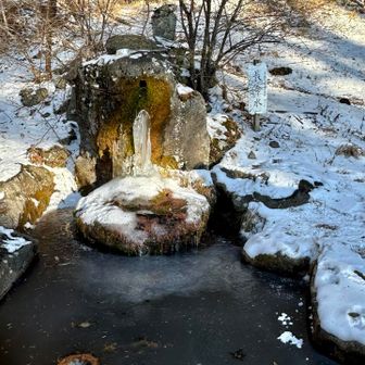 長生き出来るのかな、凍ってて汲めませんが