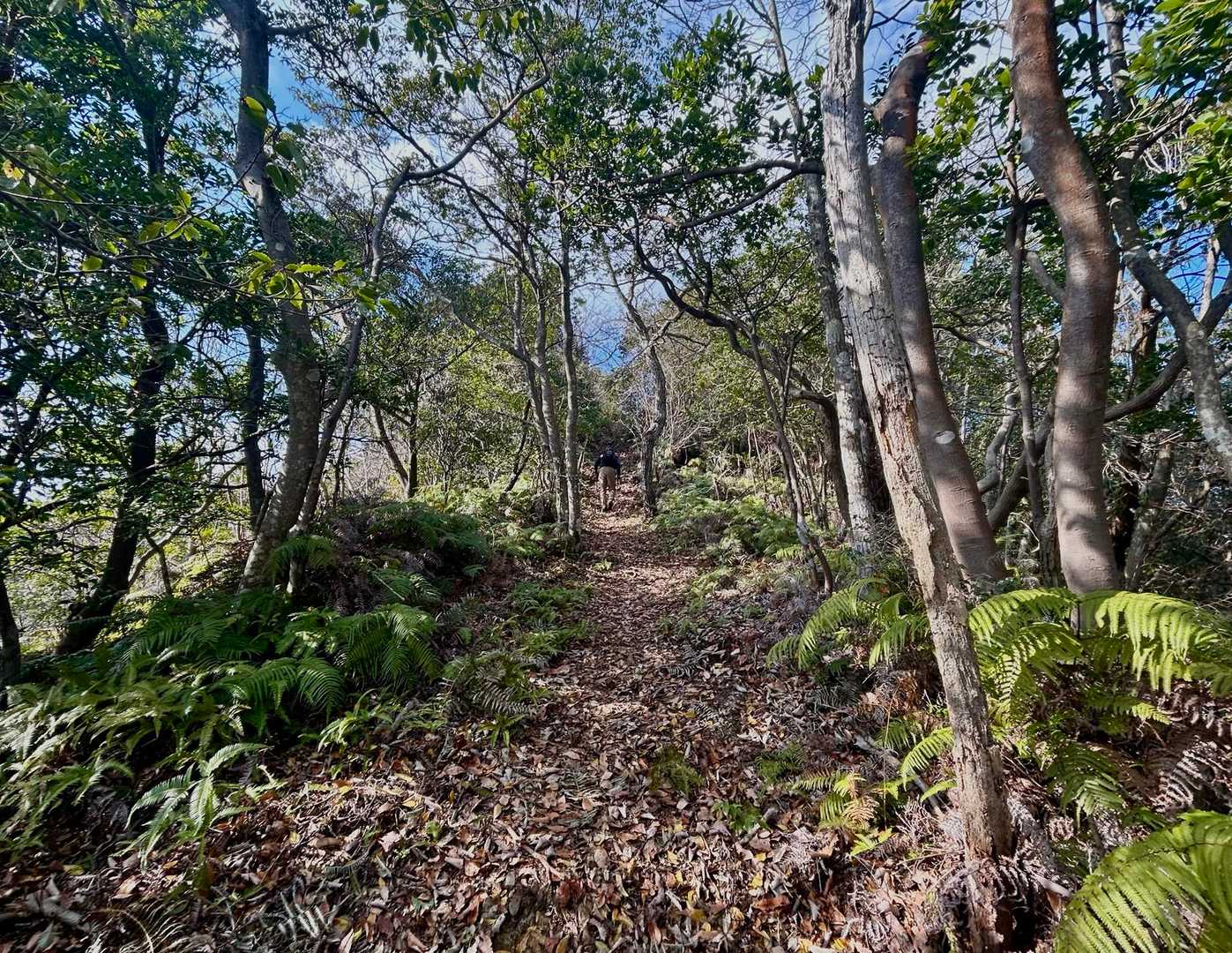 写真ではわかりにくいと思いますがしばらく急登後に山頂です