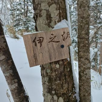 お久です!１年ぶりっすね。