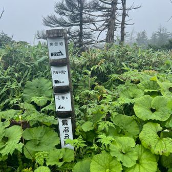 初日これくらいでよかったんやない？？
ハイキング〜的な