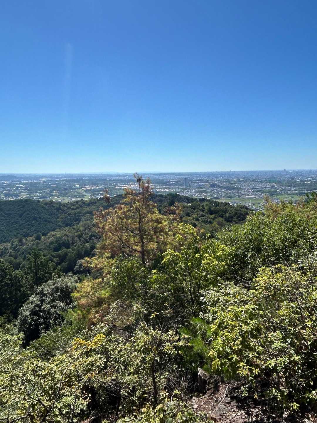 大縣神社登山口-尾張本宮山 往復コースの写真