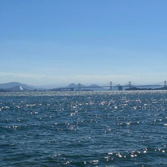 海面キラキラ。