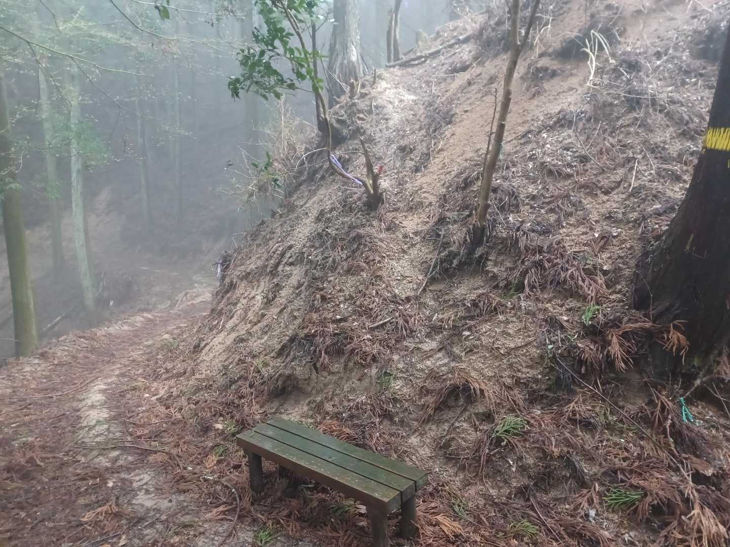 談山神社バス停-竜在峠-城ヶ峰-滝畑-芋ヶ峠-高取山-壺阪 縦走コースの写真