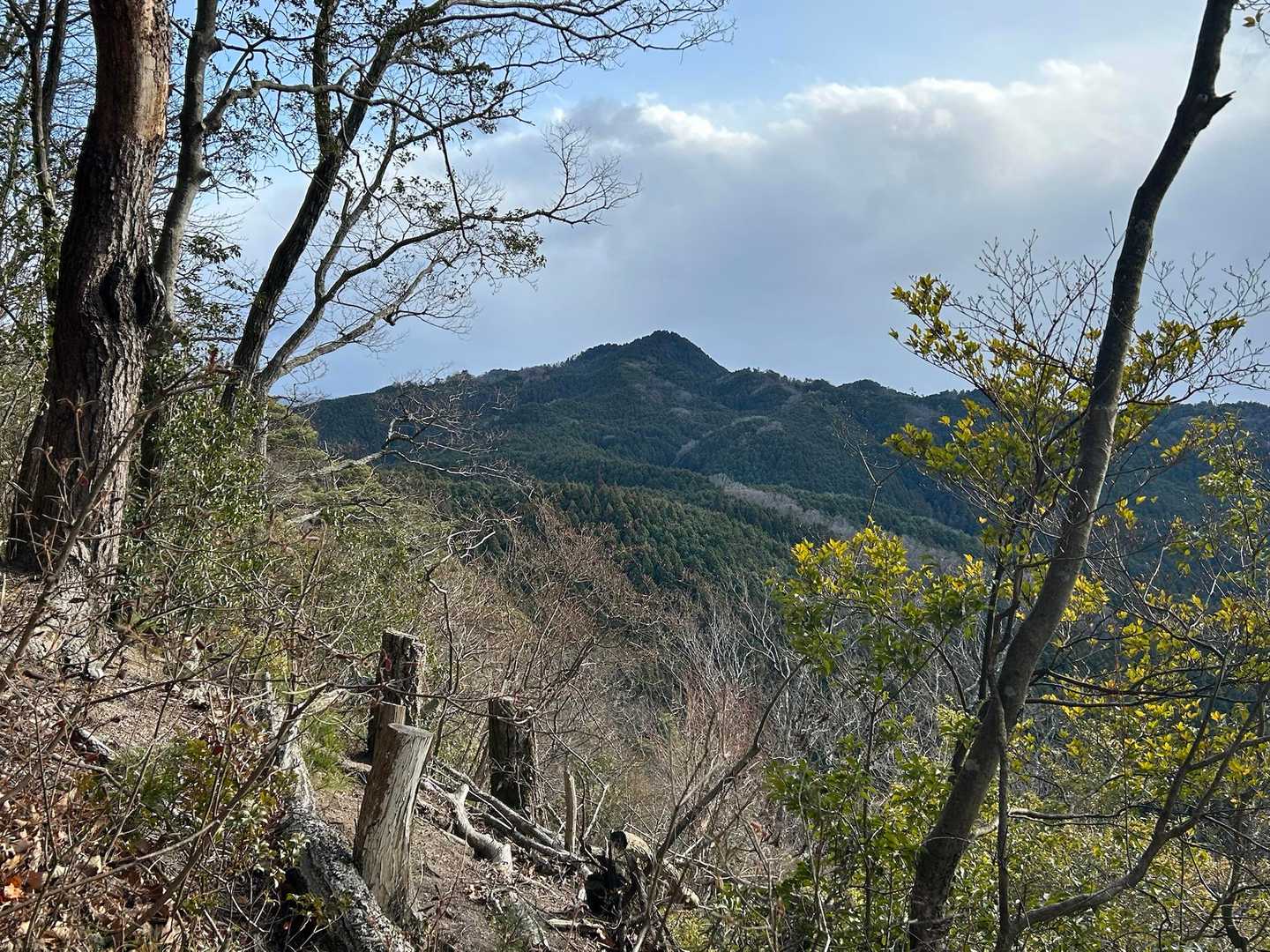 岳山から見た伊那佐山✨