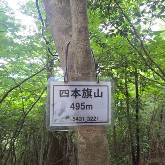 しほんはたやま
だと
そのまま読めばよいけど、読めませんね😅
https://www.ooitanoyama.com/sihonhatayama.html