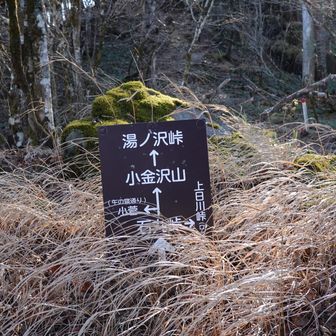 小金沢山へ。
ここから先はややアップダウンあり。