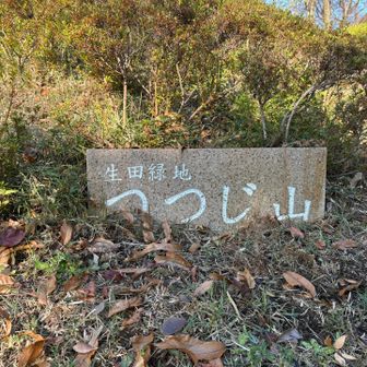 つつじ山
どこ？って感じ