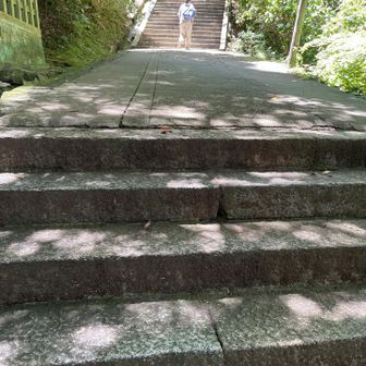 さらに奥社を目指します