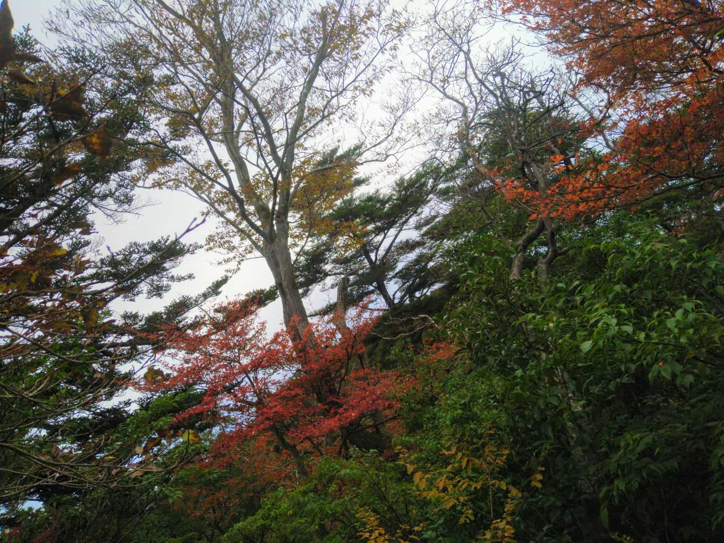 ほほぉ〜ぅ🤩
