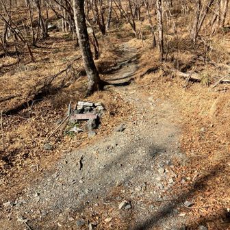 ようやく中道山入り口