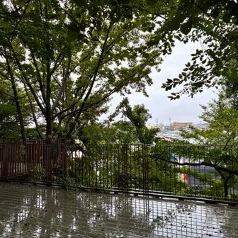 バスを降りるとけっこうな雨☔
朝は雨は降っていなかったけれど、降ったり止んだり徐々に雨足が強くなり…
成増駅に到着した時にはびしょ濡れでした…

こちらはもみじ山公園の展望台⛰️冬になって葉が落ちれば見晴らし良さそうです！