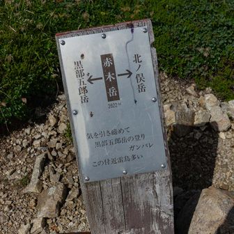 赤木岳