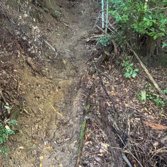 いきなり急な登り