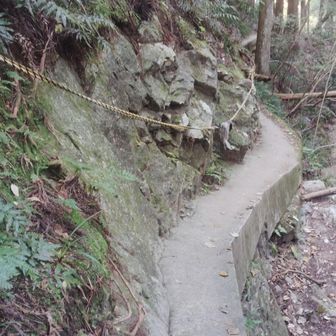 ラストここを出たら登山道とやっと合流〜✨