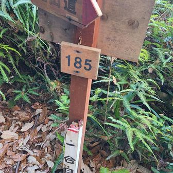 一合目から登る感じだ。