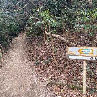 健脚コースで下山