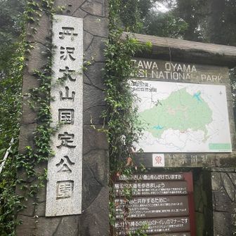 県民の森の🅿️からスタートの予定が作業車のみ通行可で一般車両は通行止め😭
気を取り直してバカ尾根からスターティン