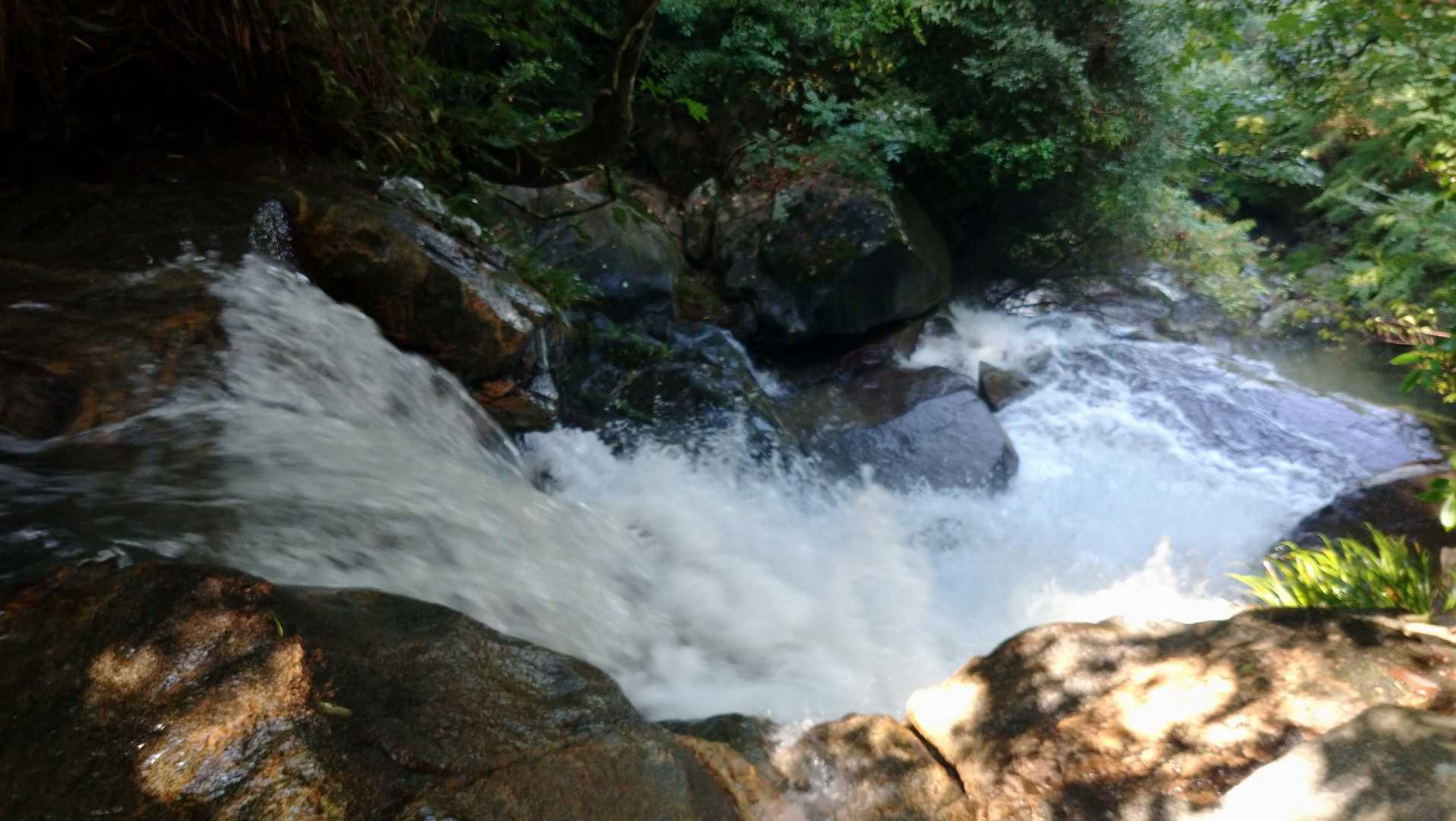 ここにきたらいつも思いだす
山友ﾁｬﾝのｽﾏﾎ📱が落ちてく光景😱