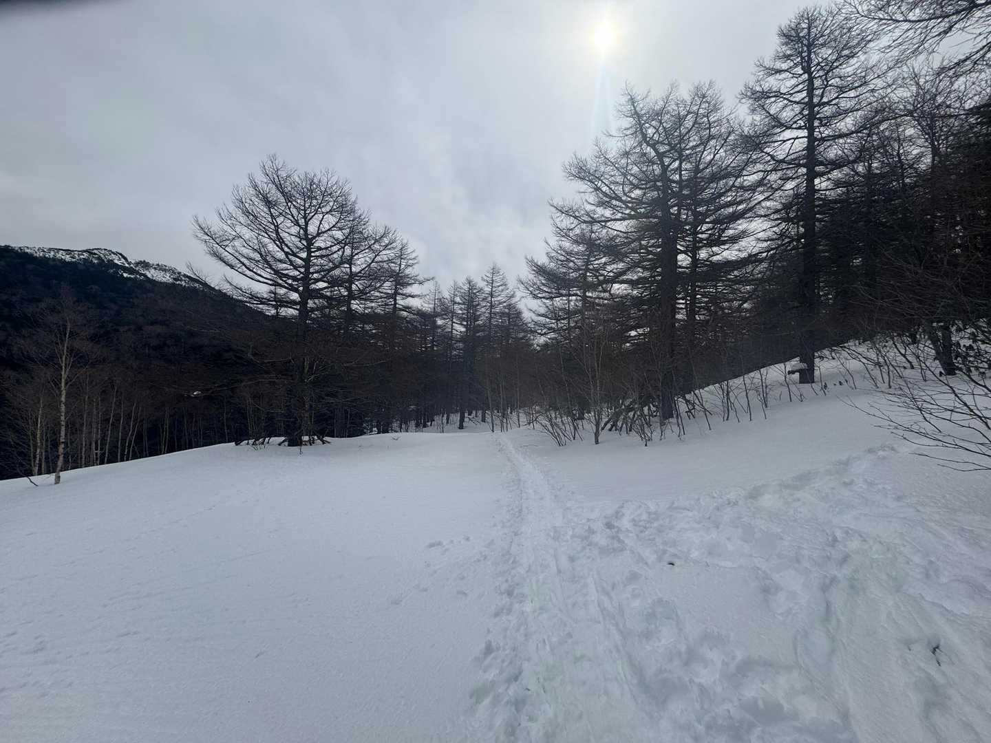 烏帽子岳登山口-湯の丸バス停-見晴岳-三方ヶ峰-池ノ平湿原 周回コースの写真