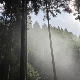 振り返ると、ガスが幻想的な雰囲気☁️