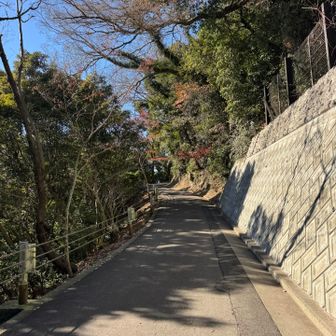 ここはサクラの名所でもあり、紫陽花の名所でもあります