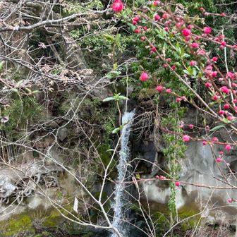 おなん淵💧
今日は６ピークGETしました