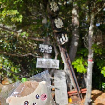 こちらの標識もあり

トモ蔵さんからもらった、くりまんじゅう先輩🥰（ちいかわの推しキャラ🌰🍶🍺）