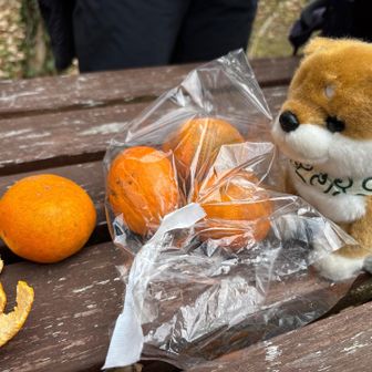 向山 標高67mのベンチで休憩、みかん🍊を食べました、甘くて美味しかった😋