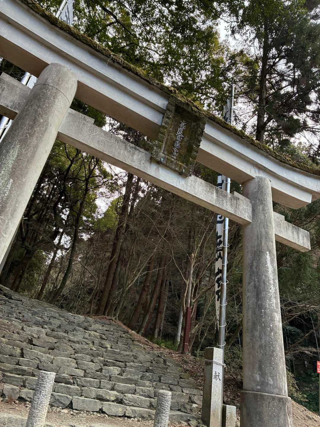 今年もよろしくお願いします🙇‍♀️