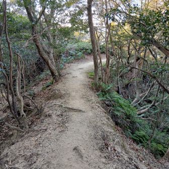 食べた、らさっさと
急ぎます❗