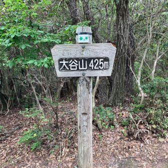 次は大谷山。