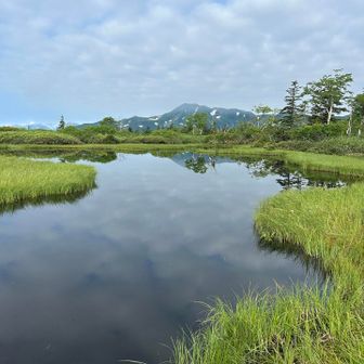 久しぶりのクチャンベツ