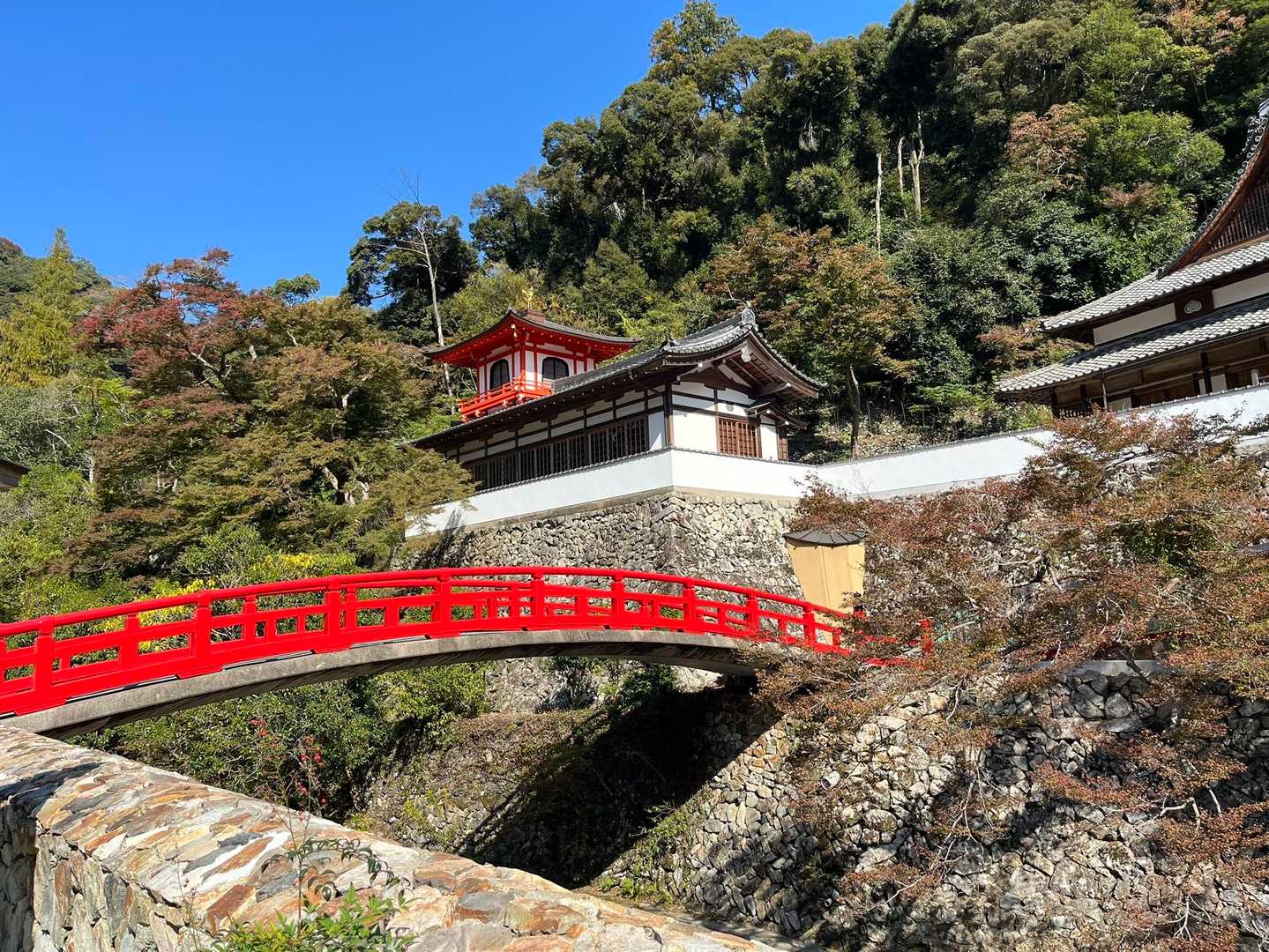 紅葉🍁まだまだね〜
しないまま急に冬が来たりして🤔