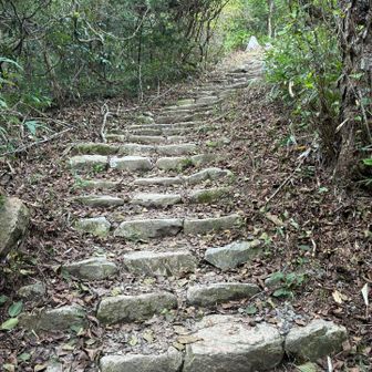 分岐があって、鍛えるならこっちと勧められて来ました。
鍛える気はなかったけど笑