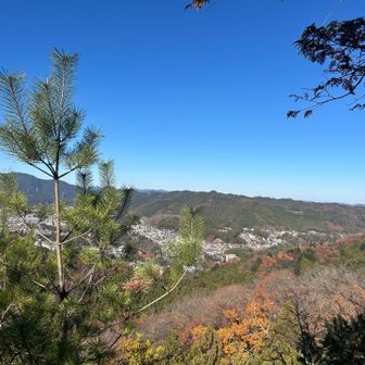 わぁ😃本当に素敵な場所！
しかも、貸切ですよ😊