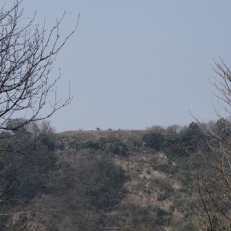 城ヶ平山しか見えない展望台