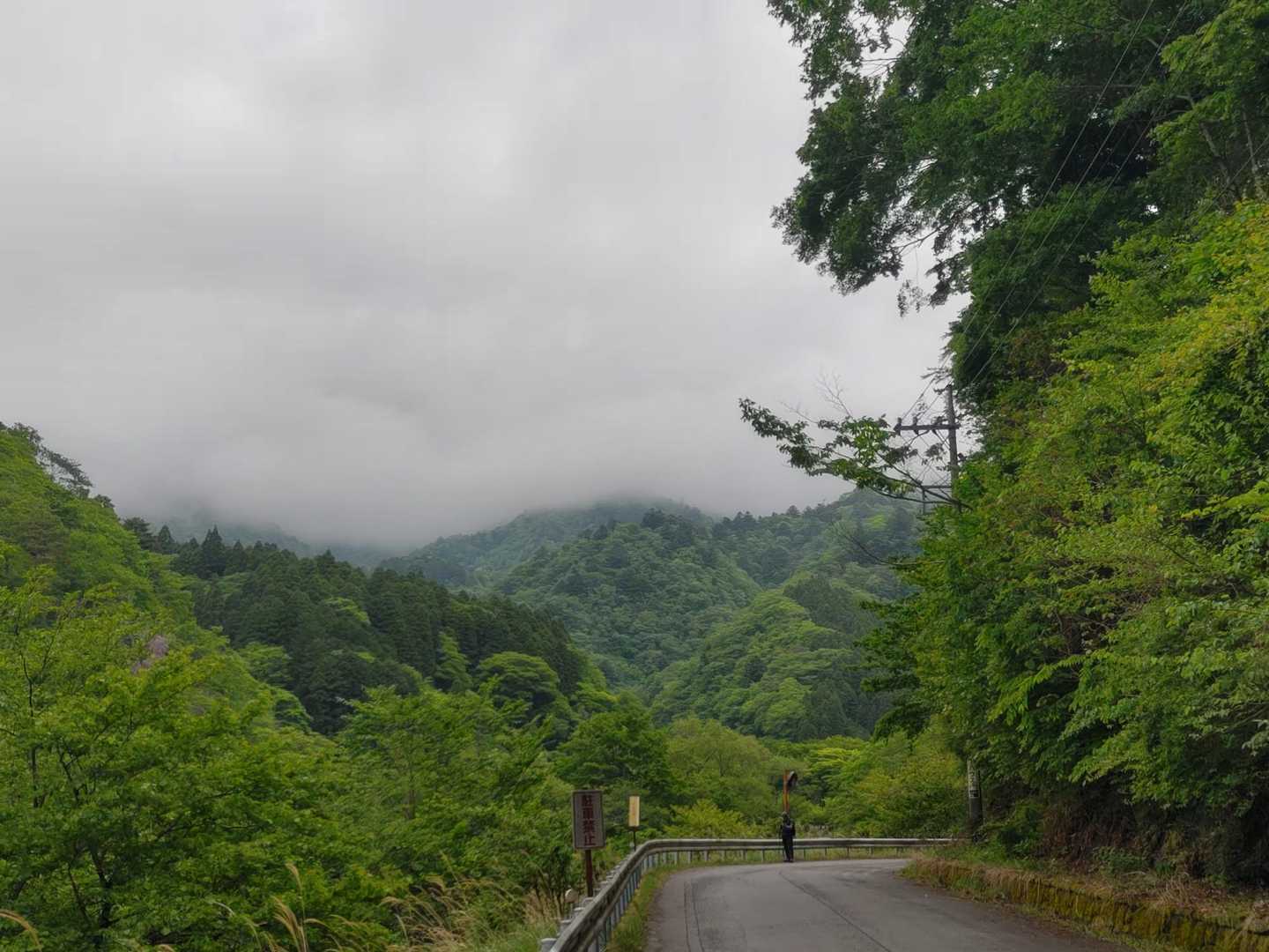 なお稜線は既に雲に包まれています☁
まあ今日はシロヤシオメインだから😅