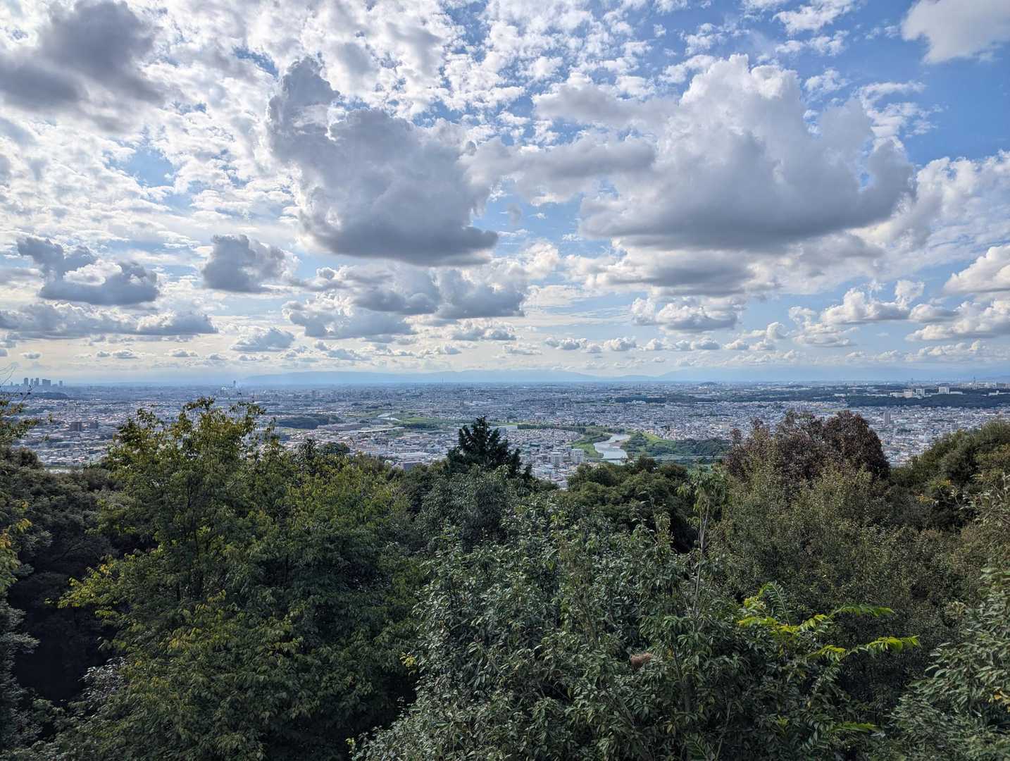 西側には木造の展望台
眺望がいいね～🙆